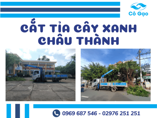 cắt tỉa cây xanh châu thành