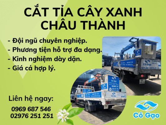 cắt tỉa cây xanh ở Châu Thành