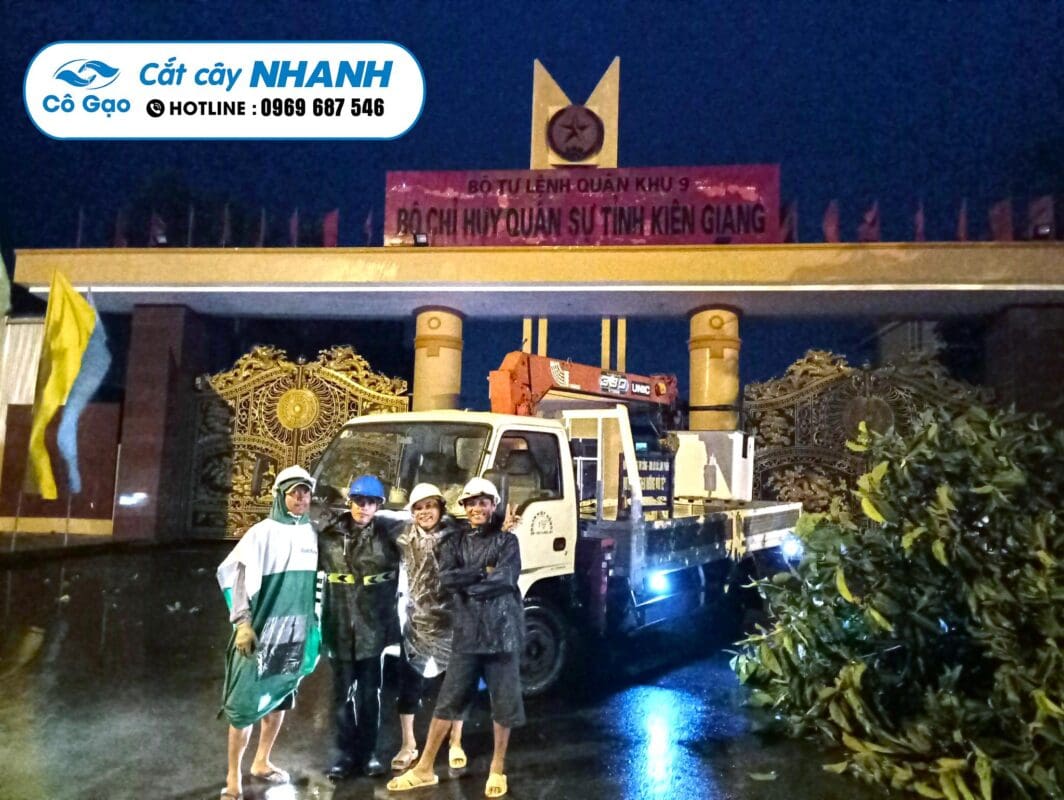 đốn hạ cây xanh tại Châu Thành