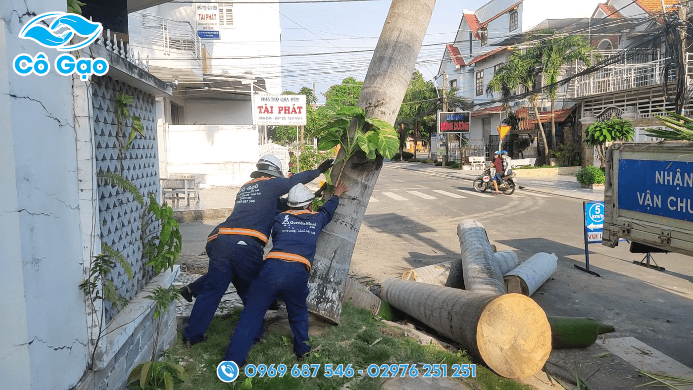 đốn hạ cây xanh tại Hòn Đất