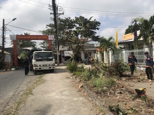 dịch vụ bứng cây tại Rạch Giá